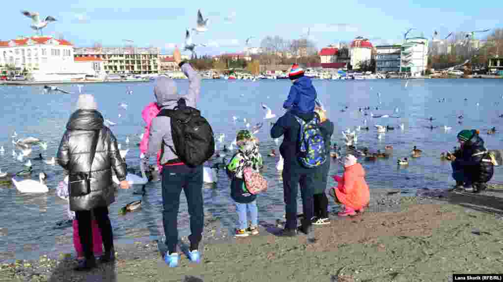 Люди годують птахів, нахабні чайки намагаються вихопити їжу прямо з рук