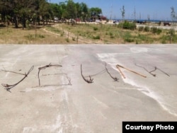 Горожане составили из высохших саженцев словосочетание "Нас убили". Фото предоставлено активистами