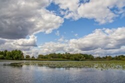 Каховське водосховище