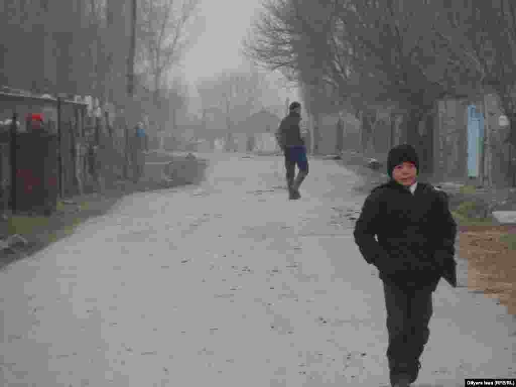 Бағыс ауылы Қазақстанға берілгенімен, Сарыағаш ауданы әкімдігі өкілдері &laquo;шекара туралы Өзбекстан мен Қазақстан келісімі әлі ратификацияланбағанын&raquo; айтады. Ал тұрғындар &laquo;картада жоқсыңдар&raquo; деп мектеп құрылысын тоқтатты, газ да тартпай отыр. Мал жаятын жер де тар, пайға берілген жер де жоқ, субсидия деген тіпті жоқ. Жұмыссыз жастар қалаға тентіреді&raquo; деген шағымдарын жеткізді.&nbsp;