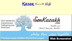 Қытайдағы senkazakh.com сайтының беті.