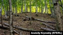 Кримський природний заповідник, вересень 2019