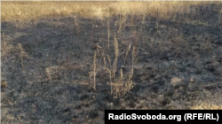 Знімок журналіста Радіо Свобода поповнив доказову базу Міжнародної слідчої групи