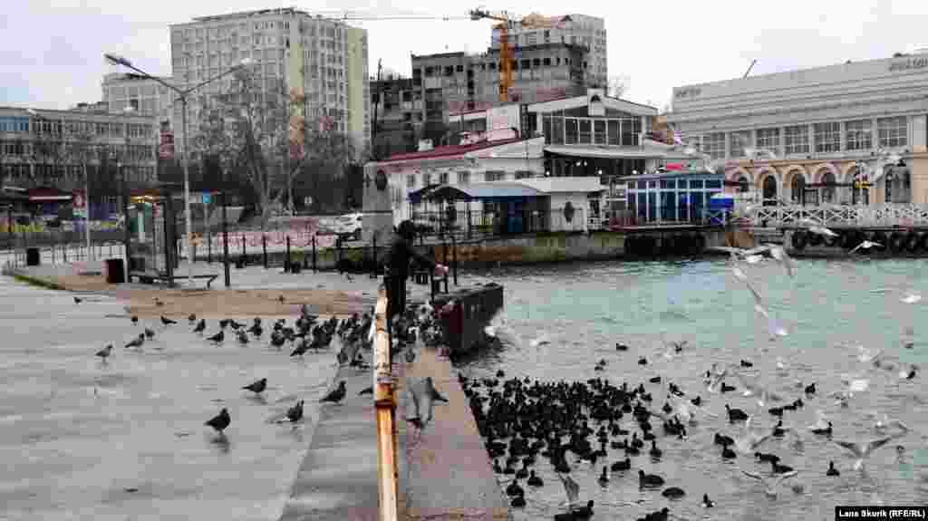 Артбухта, чоловік годує чайок, голубів і качок &nbsp;