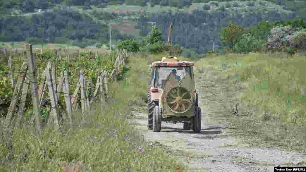 На 10 гектарах колишніх виноградників агрофірма &laquo;Золота Балка&raquo; планує побудувати котеджне селище. 19 травня відбулися громадські слухання