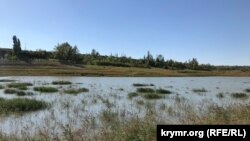 Обміліле Білогірське водосховище активно заболочується, що знижує і без того низький рівень корисного об'єму води, 24 серпня 2020 року