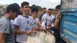 Göyçay icra hakimiyyətindən: 'Kim istəyir, könüllü gəlsin, pambığını yığsın, pulunu alsın'