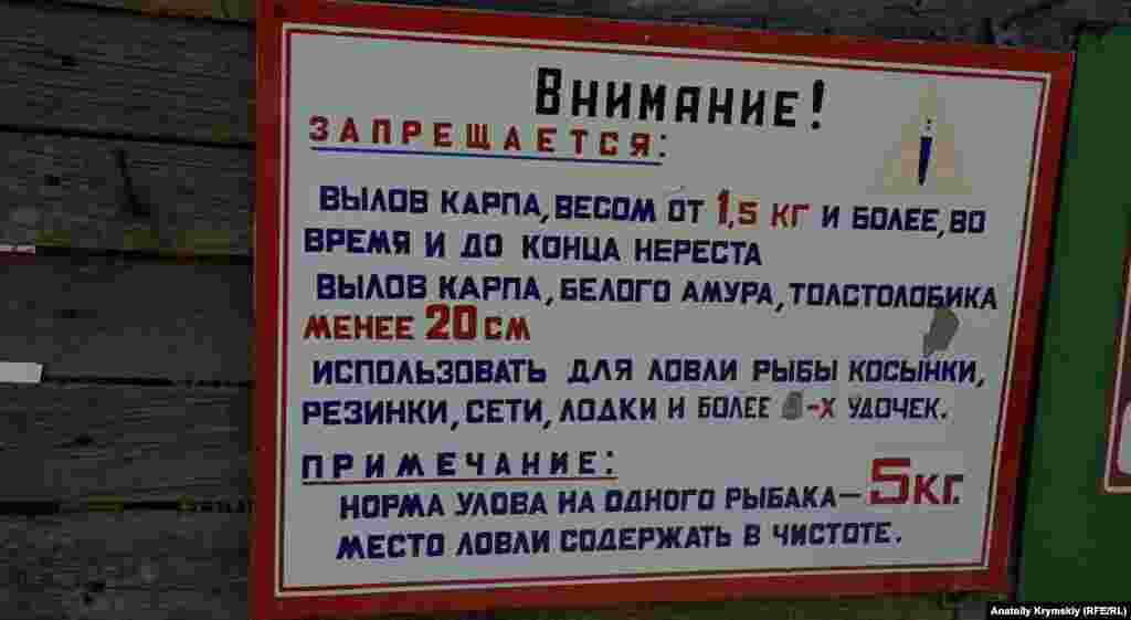 Рибалити на сільському ставку можна за тисячу рублів (420 гривень) на добу&nbsp;